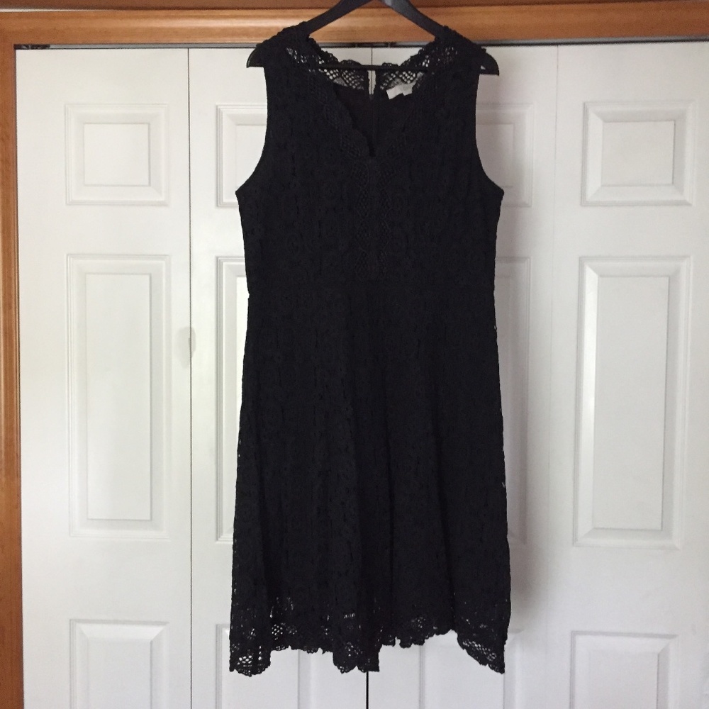 Loft Lace Dress
